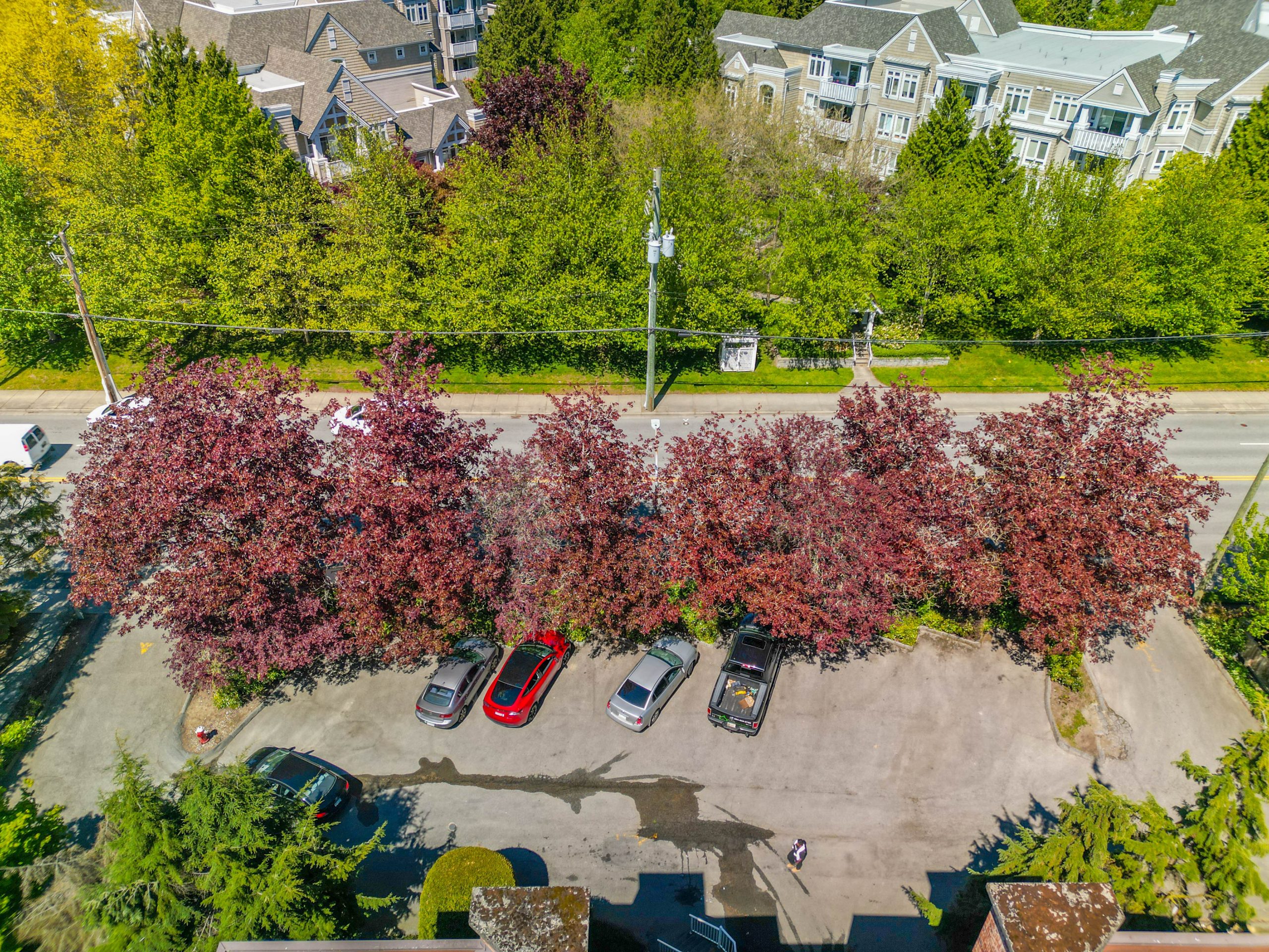 Richmond Blundell — site context